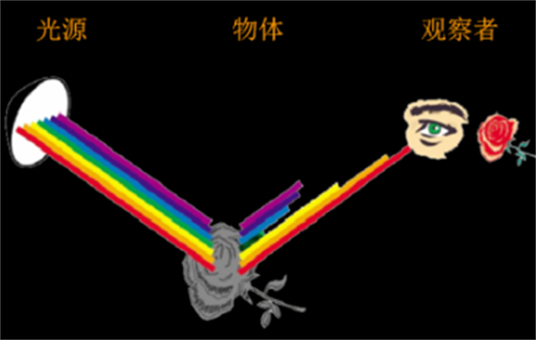 物体颜色的产生