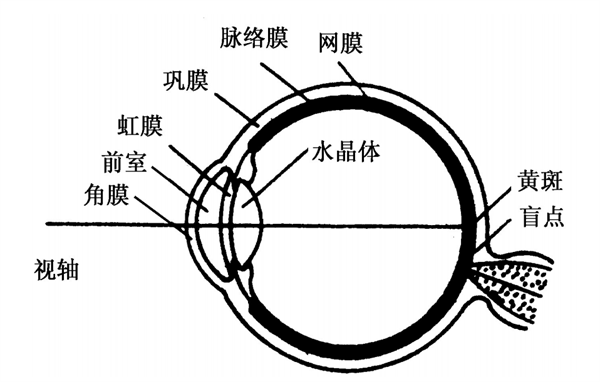 目视评估