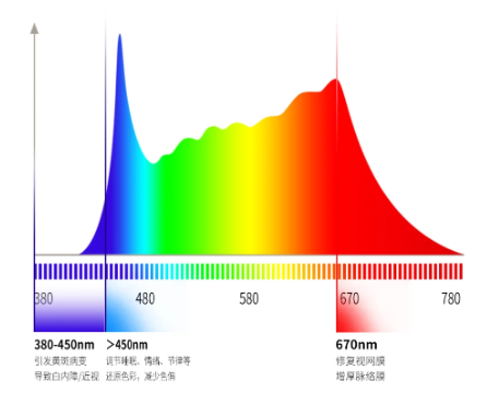 光谱密度与光谱分布：解读光的&ldquo;能量指纹&rdquo;